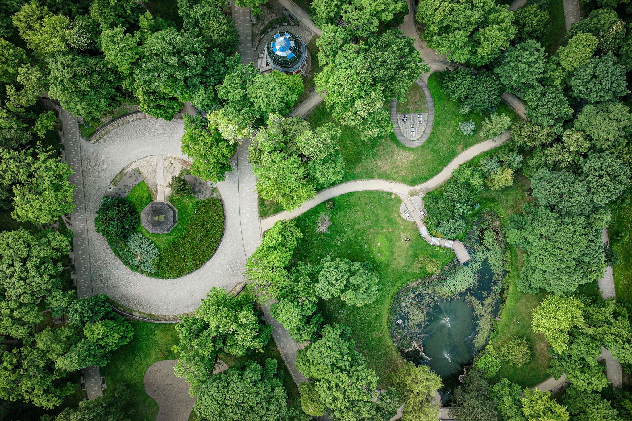 Harmonogram pielęgnacji zieleni miejskiej w Częstochowie