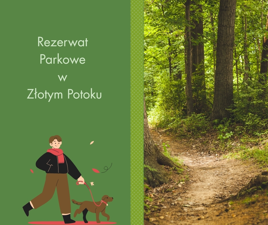 Spacer z psem w rezerwacie Parkowe już możliwy!
