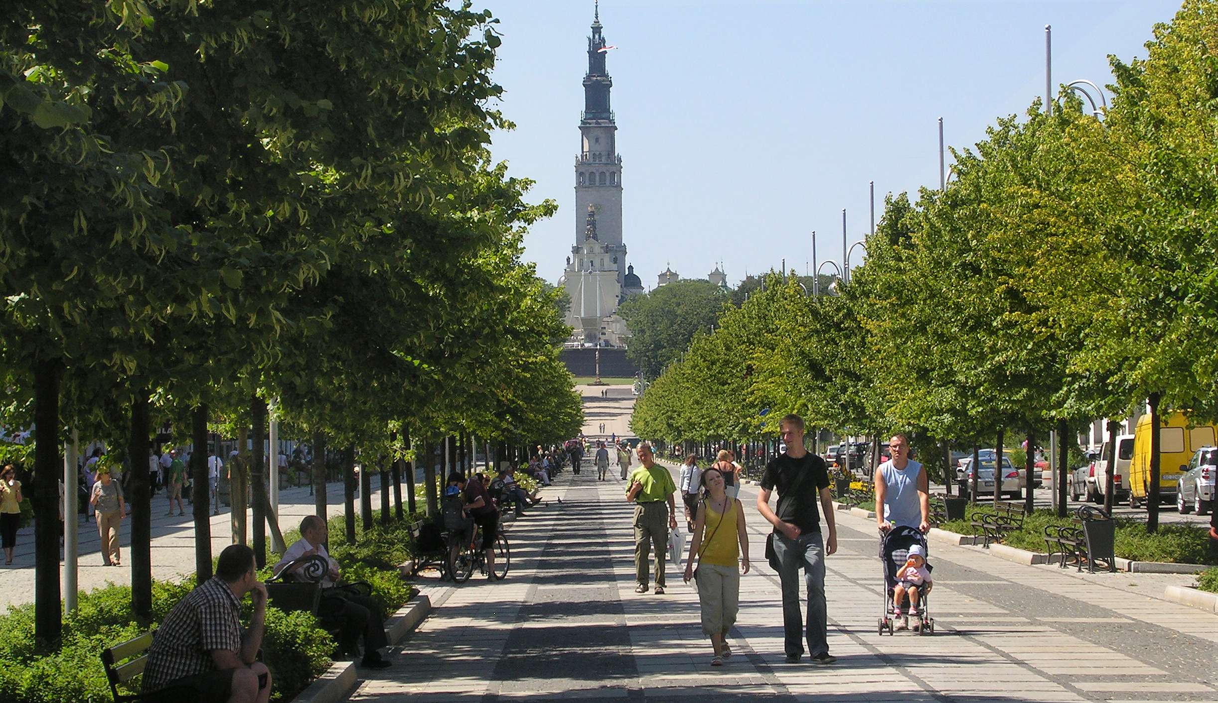 Harmonogram prac pielęgnacyjnych w Częstochowie na najbliższy tydzień