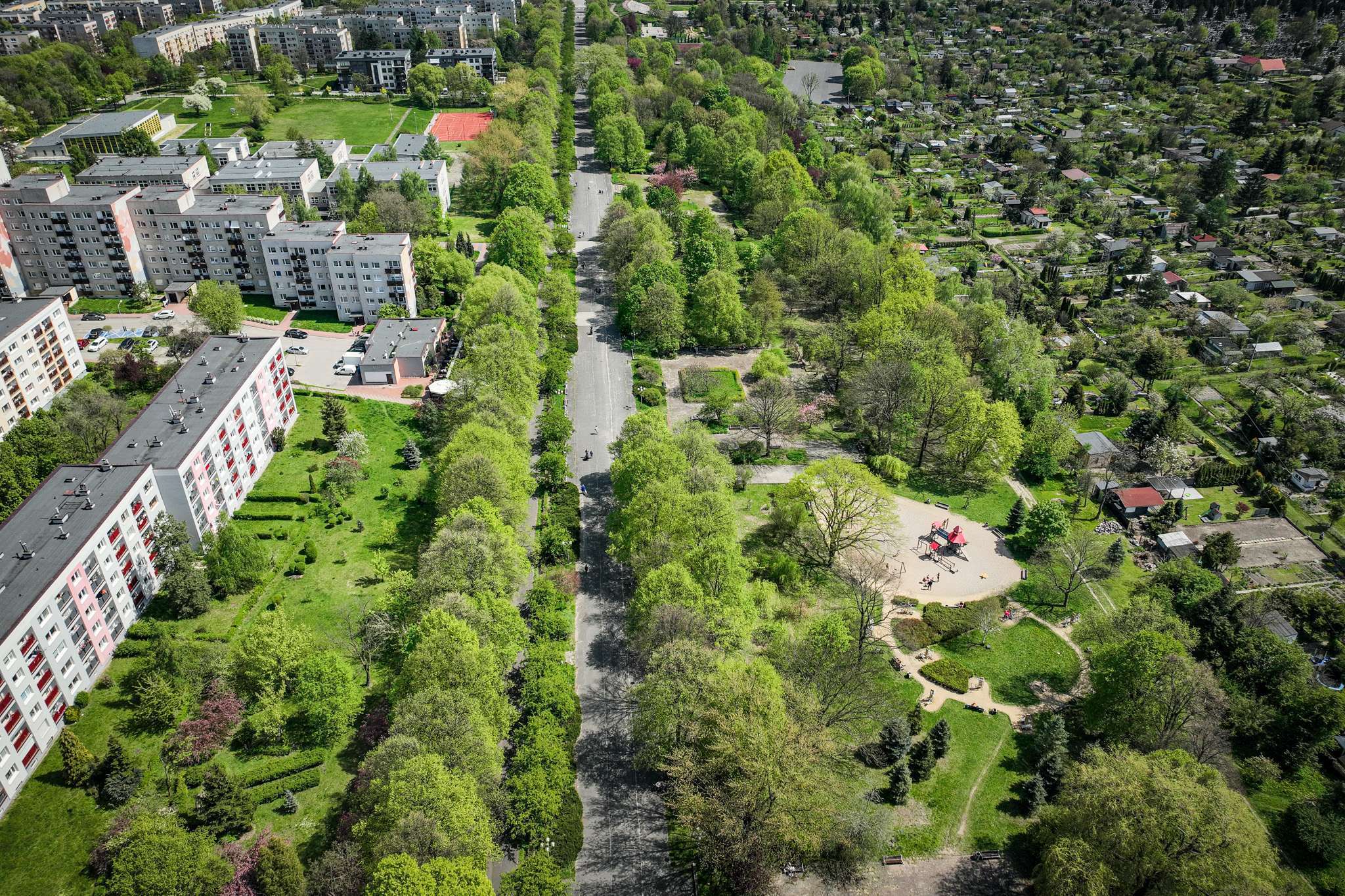 Zielone prace w Częstochowie: harmonogram na ten tydzień