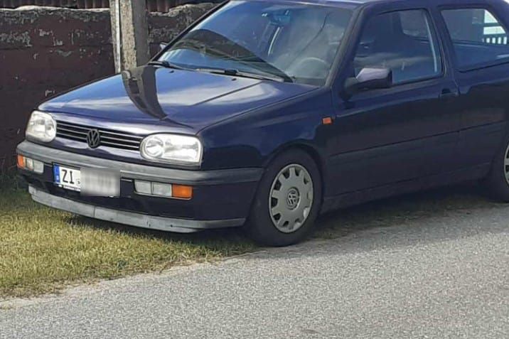 auto-olesno-wlamywacze-1