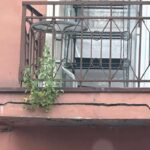 balkon-1