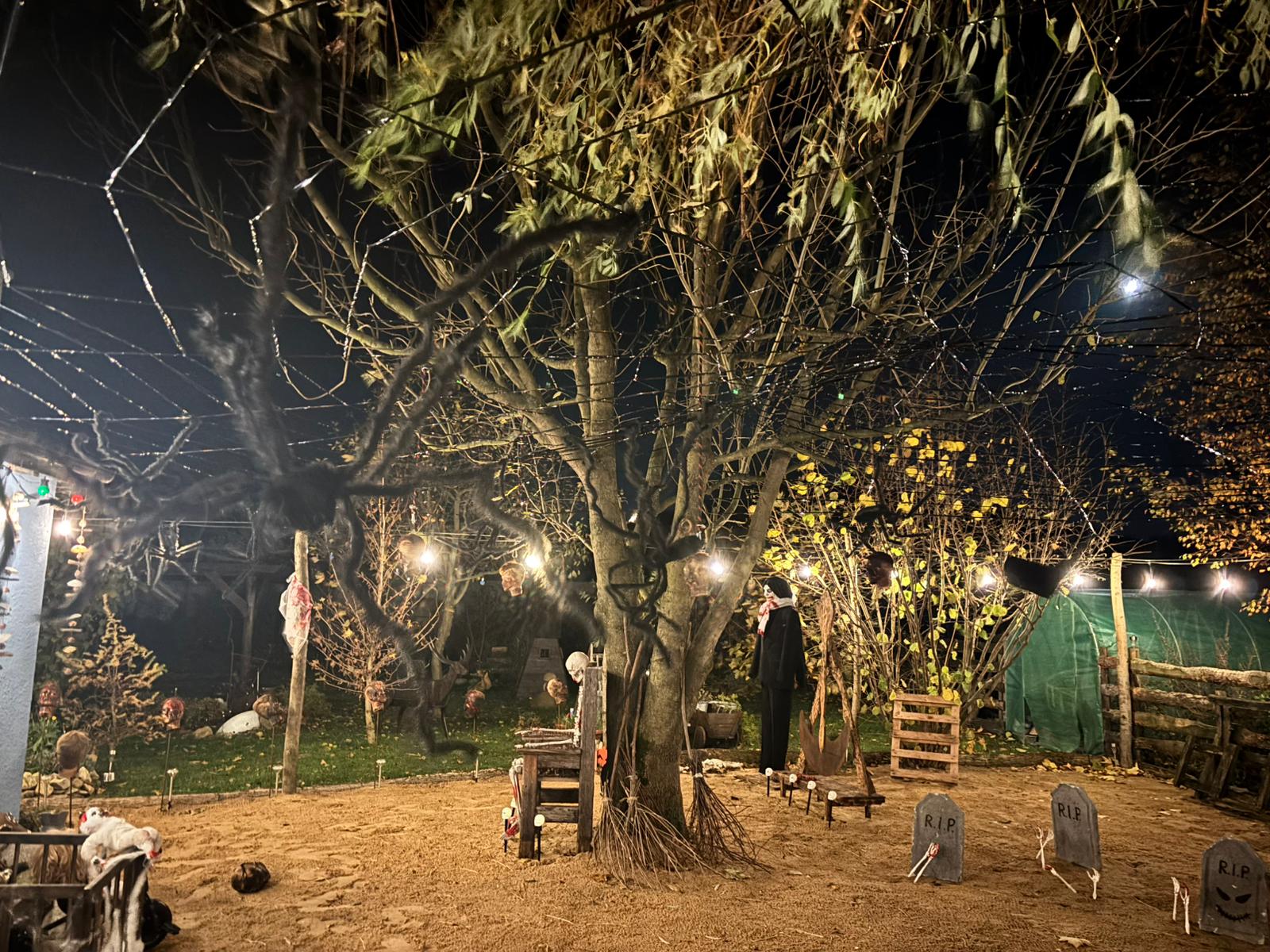halloween (12)