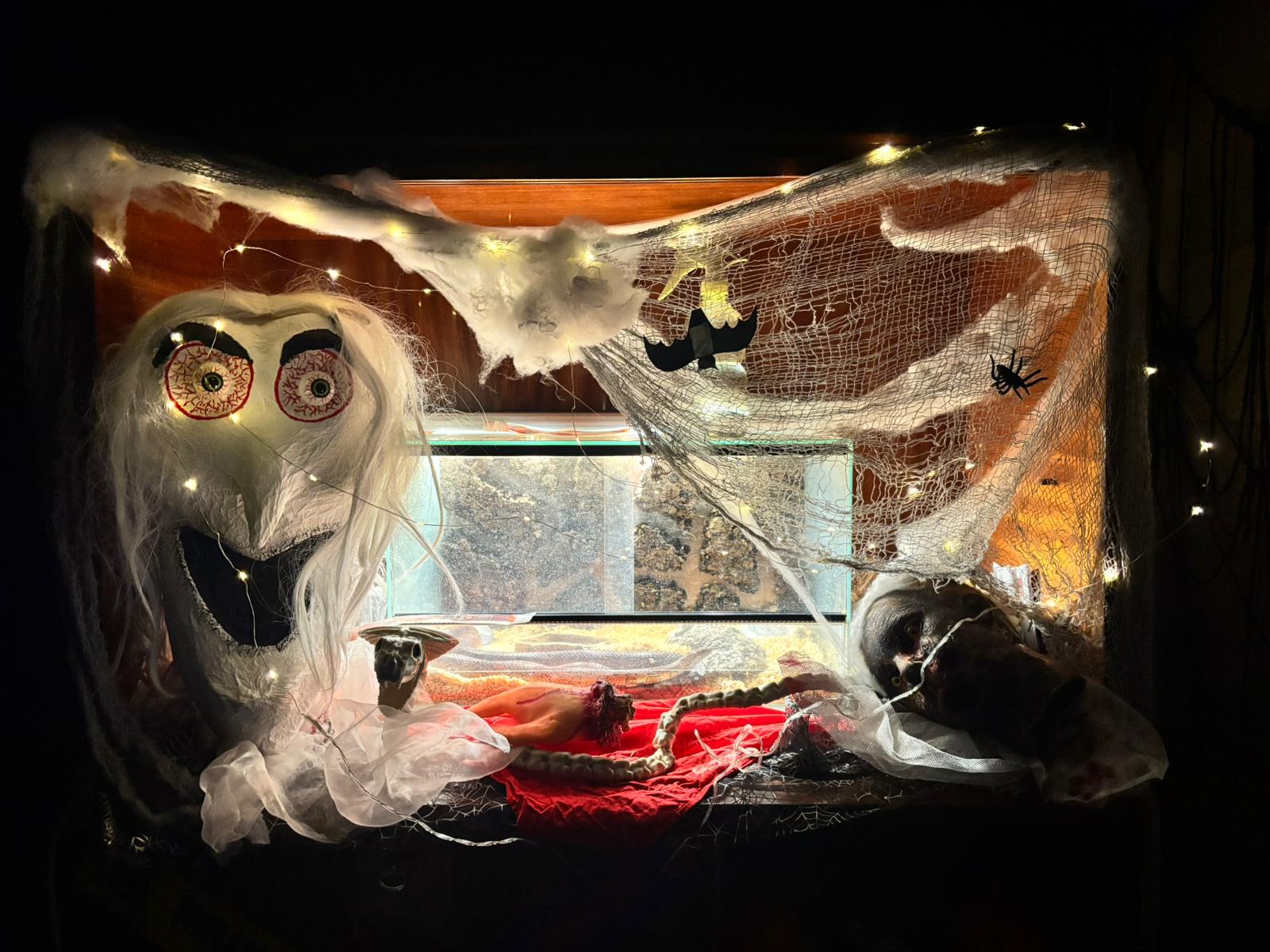 halloween (14)