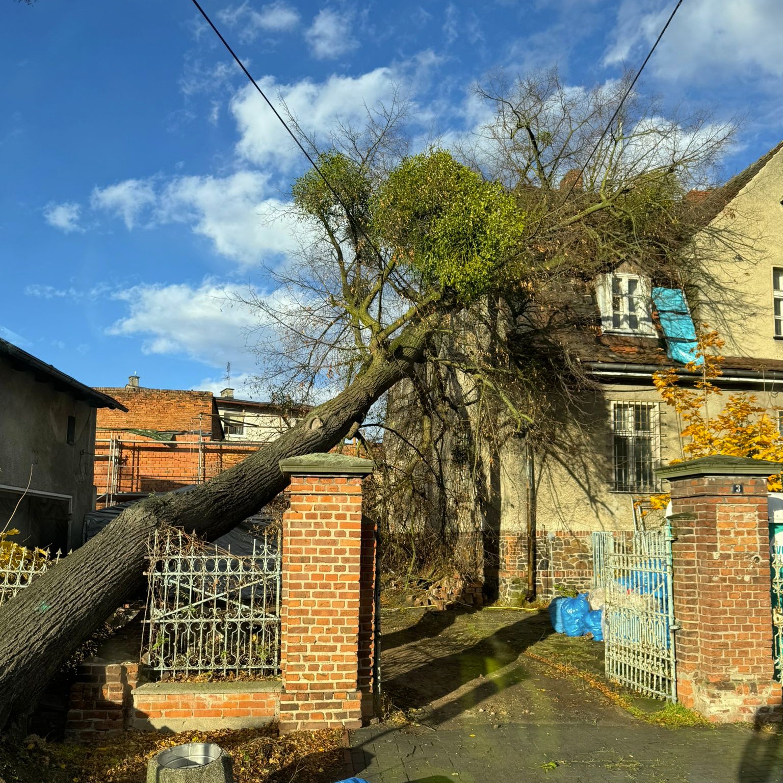 Silny wiatr nad regionem: liczne interwencje strażaków