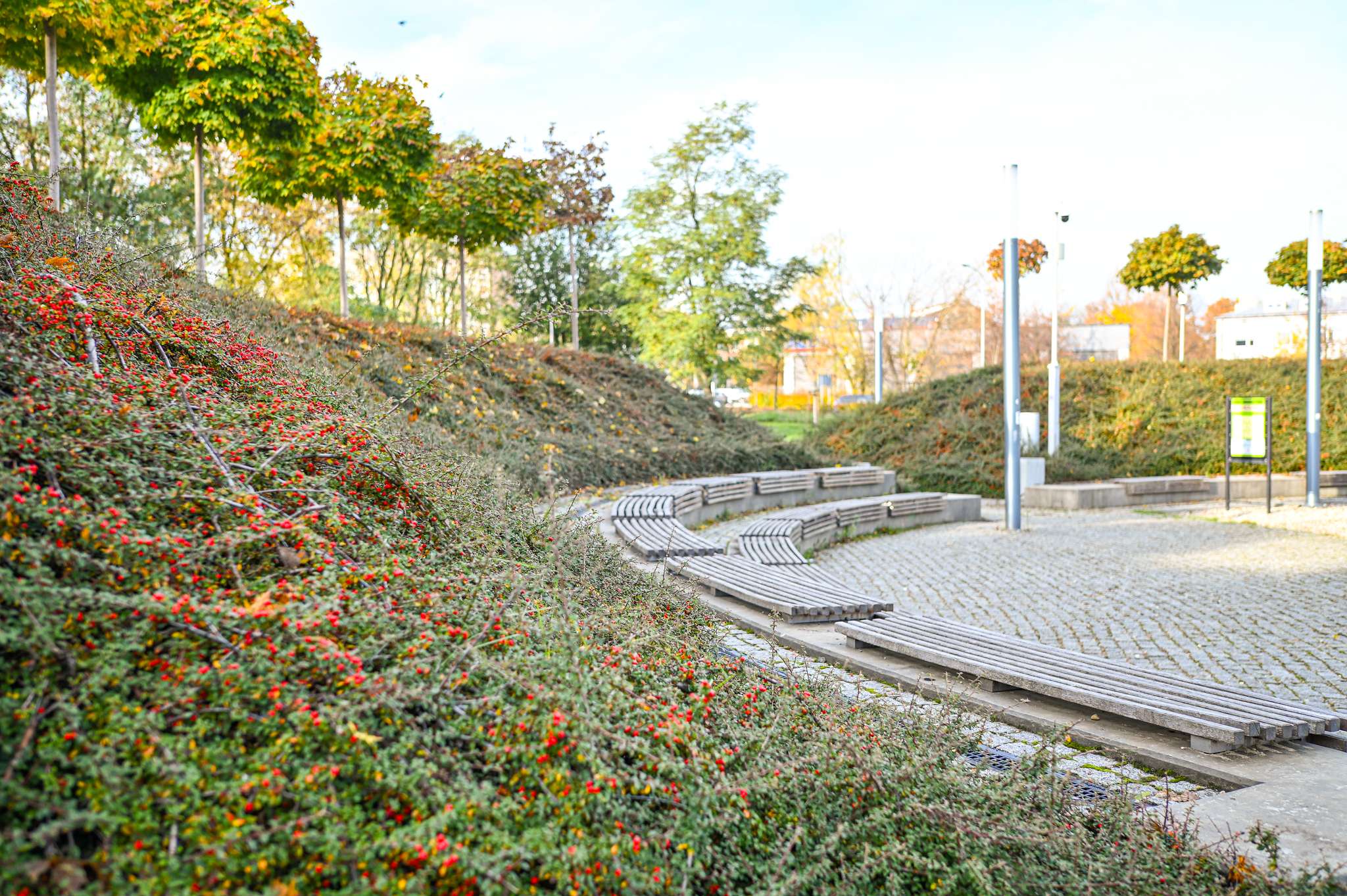 promenada-kora-3