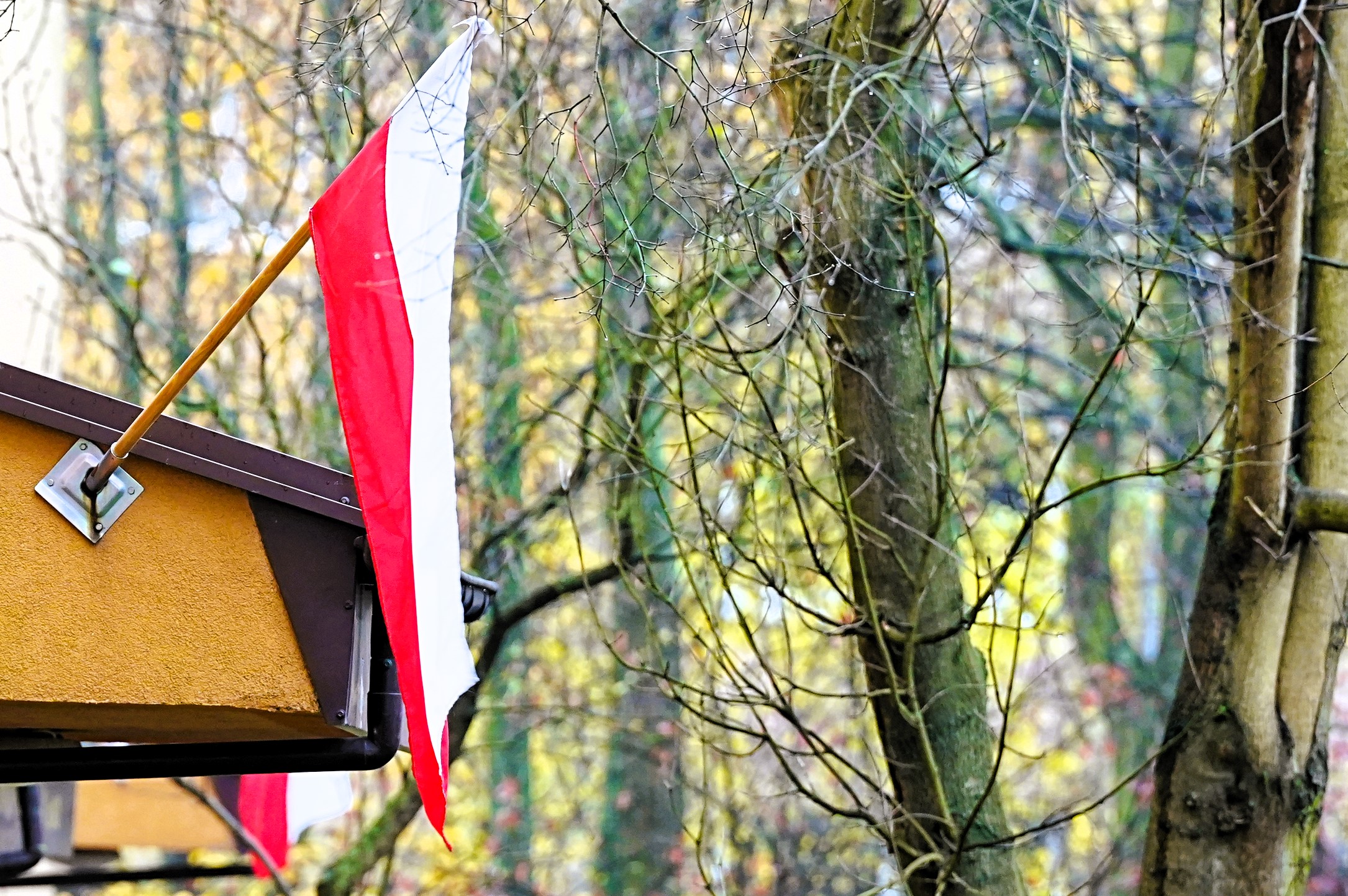 Częstochowa świętuje 107. rocznicę odzyskania niepodległości