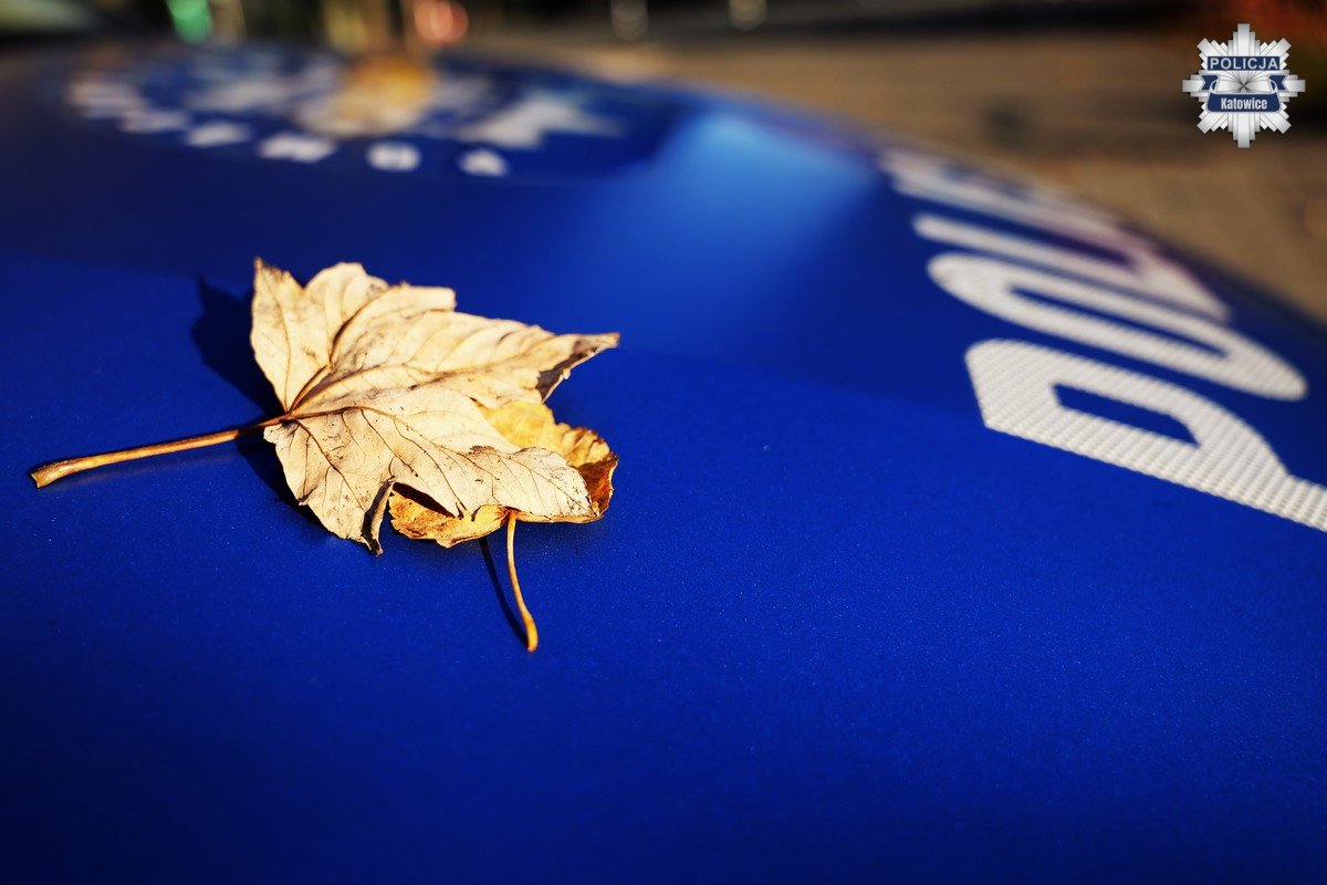 Jesienne wyzwania na drogach