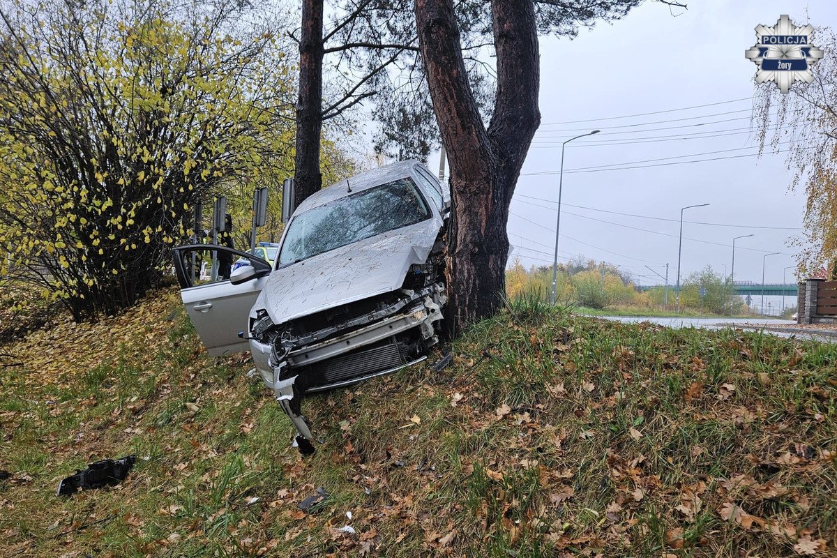 66-905187