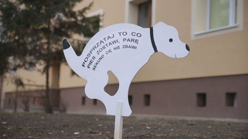 Straż Miejska przypomina o obowiązkach właścicieli psów