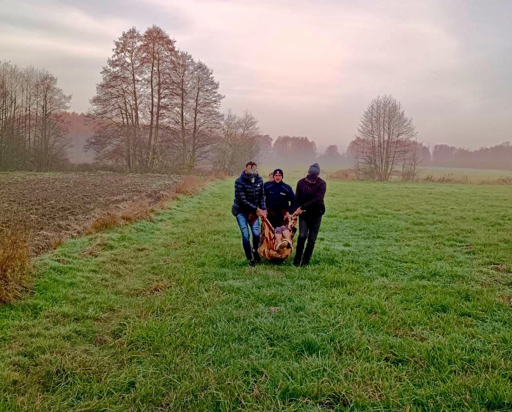 Zaginięcie 82-latki w gminie Wielgomłyny. Policjanci odnaleźli seniorkę w bagnistym lesie