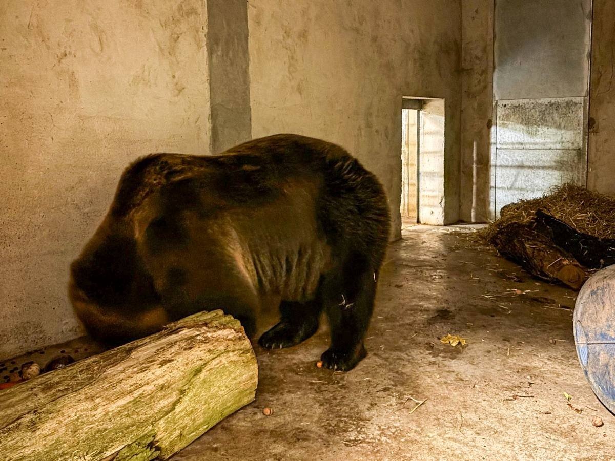 zoo-1