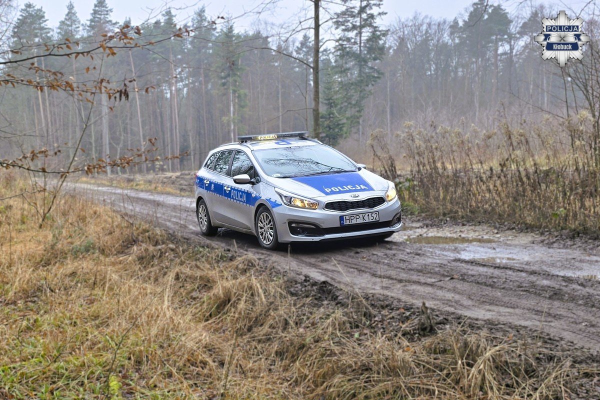 Choinka z legalnego źródła to podstawa świątecznej tradycji