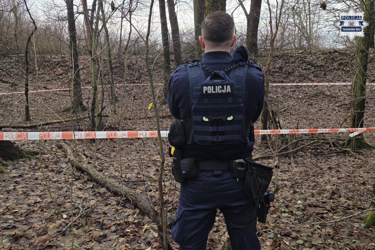 Niewybuch z czasów wojennych znaleziony w Parku Piny