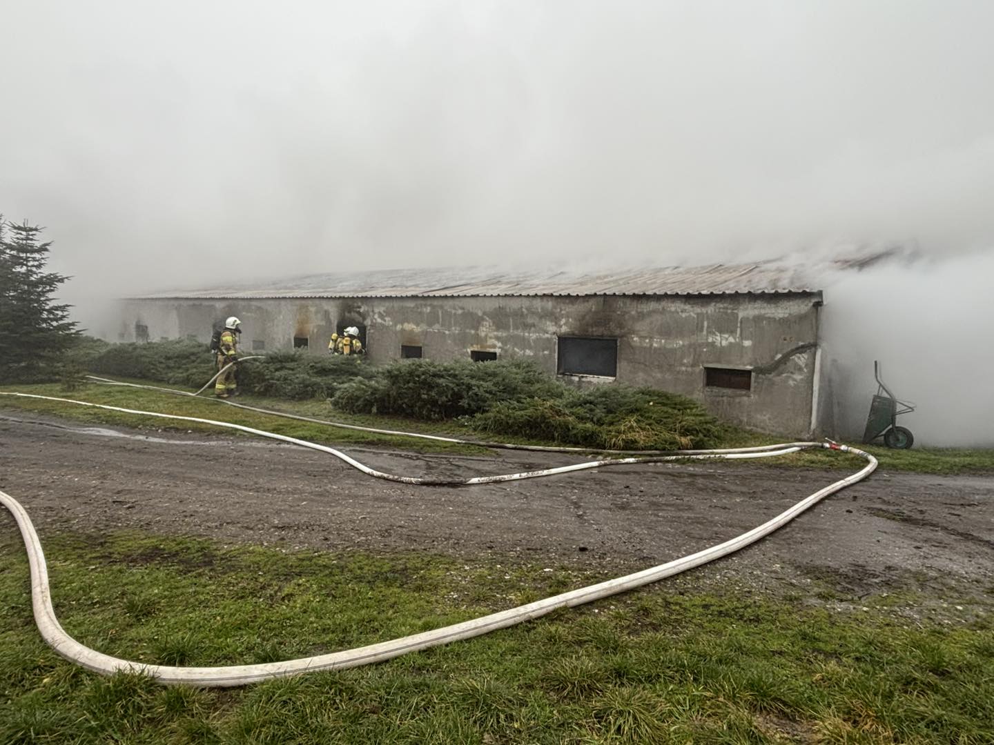 Pożar kurnika pod Kłobuckiem. Ogień pochłonął 23 tysiące kurczaków [ZDJĘCIA]