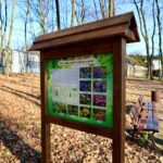 zielona-przsetrzen-6