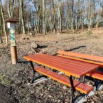 zielona-przsetrzen-7