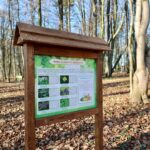 zielona-przsetrzen-8