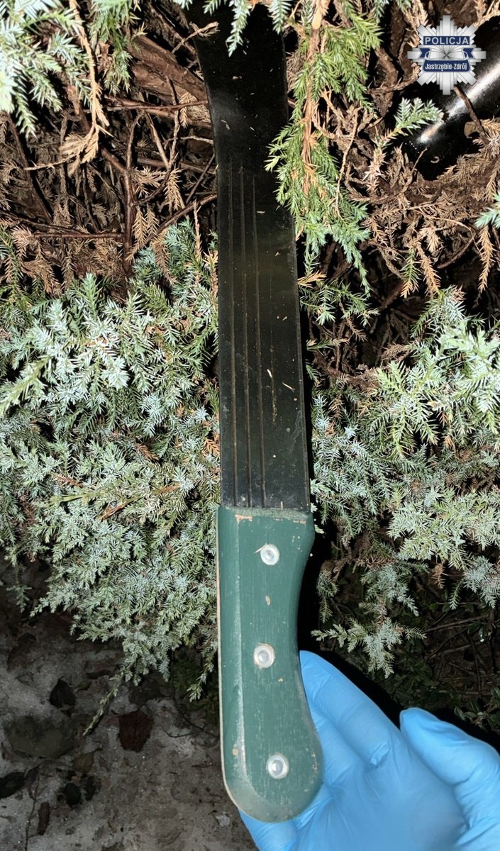 Napaść z maczetą na nastolatków w Jastrzębiu-Zdroju