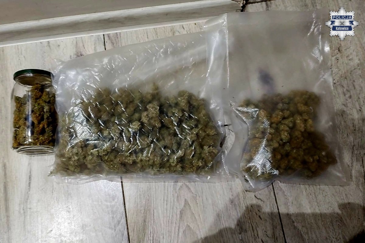 Zatrzymanie w Katowicach: pół kilograma marihuany zabezpieczone
