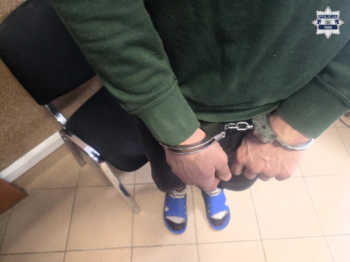 Tymczasowy areszt dla podejrzanego o serię przestępstw