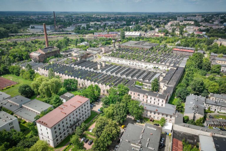 Elanex_Teren