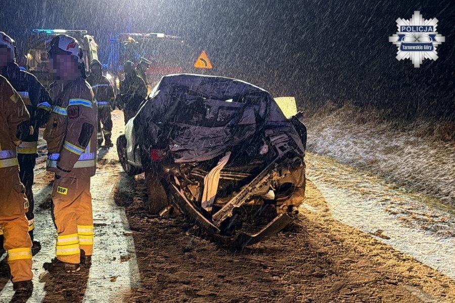 Zjechał z drogi i uderzył w drzewo