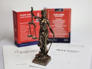 Szybki wyrok za złamanie zakazu prowadzenia pojazdów