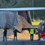 WhatsApp Image 2026-04-28 at 18.43.42 (2)