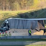 WhatsApp Image 2026-04-28 at 18.43.44 (3)