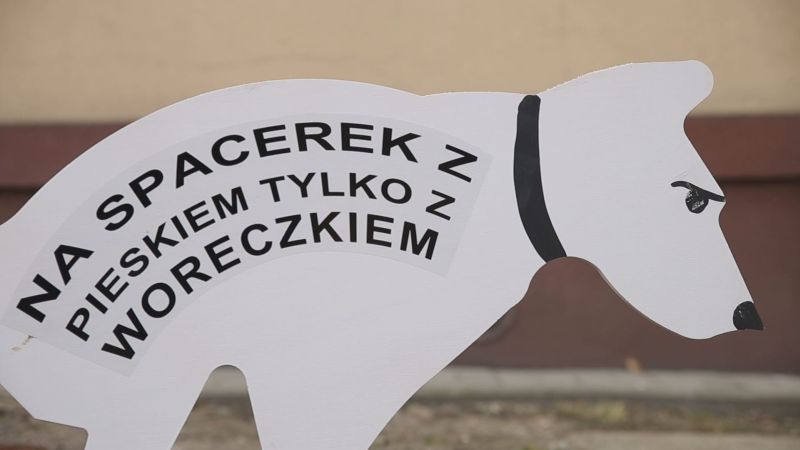 Czyste chodniki zaczynają się od spaceru z psem