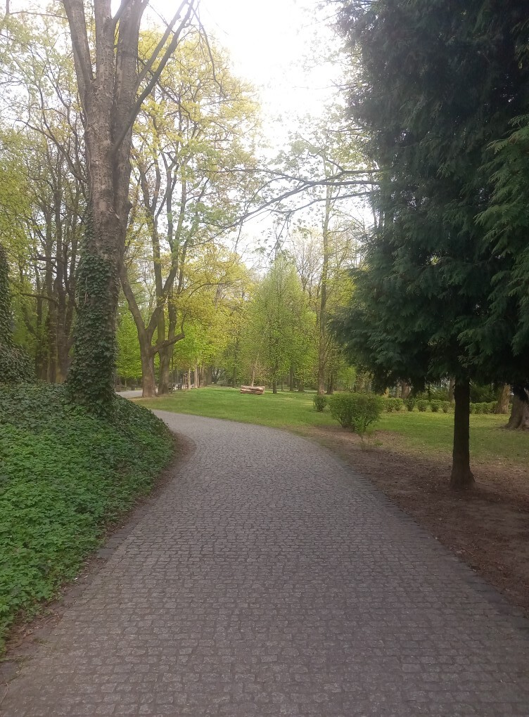 Tajemniczy park w Częstochowie
