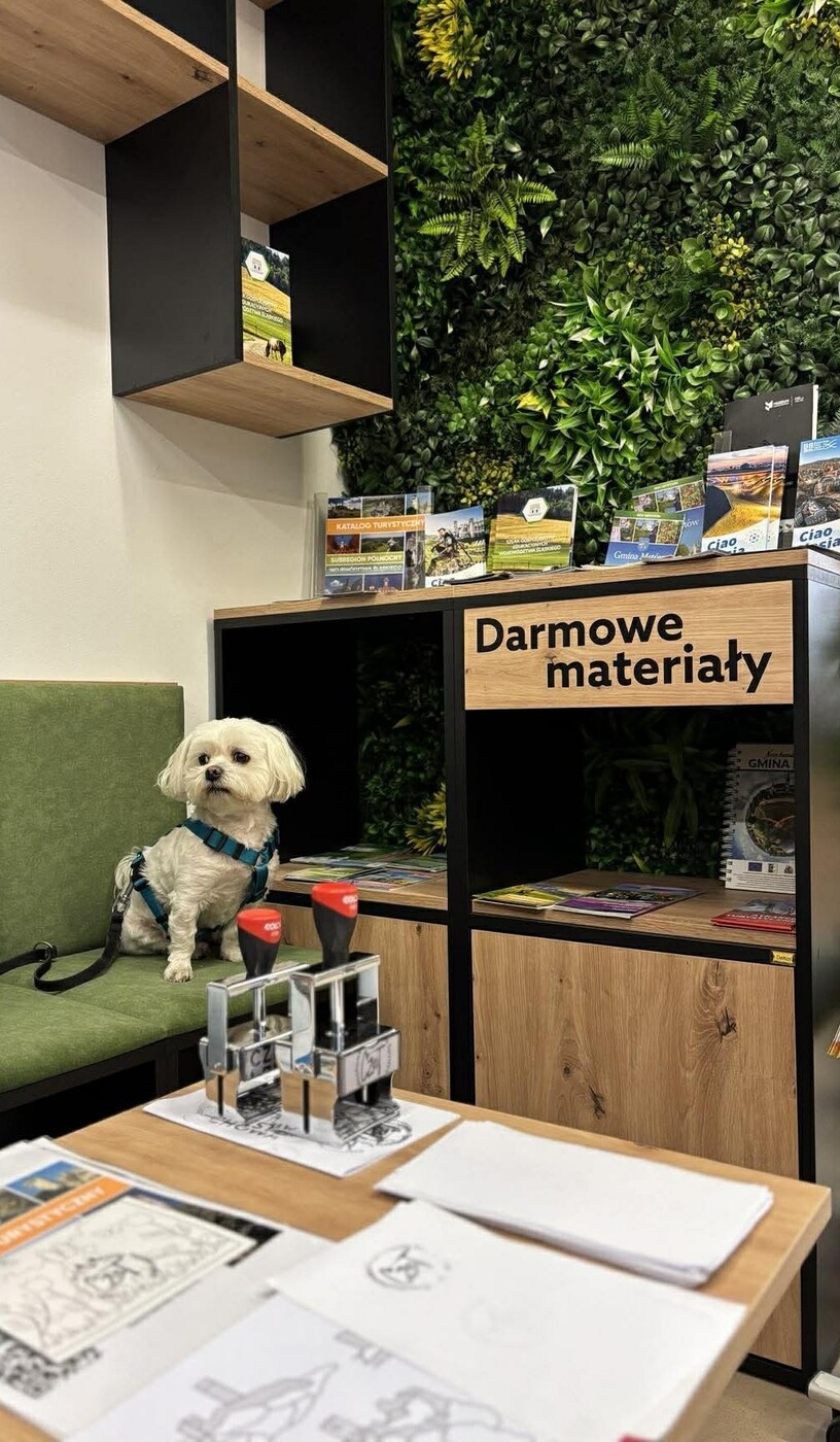 Psy mile widziane w Częstochowskiej Organizacji Turystycznej