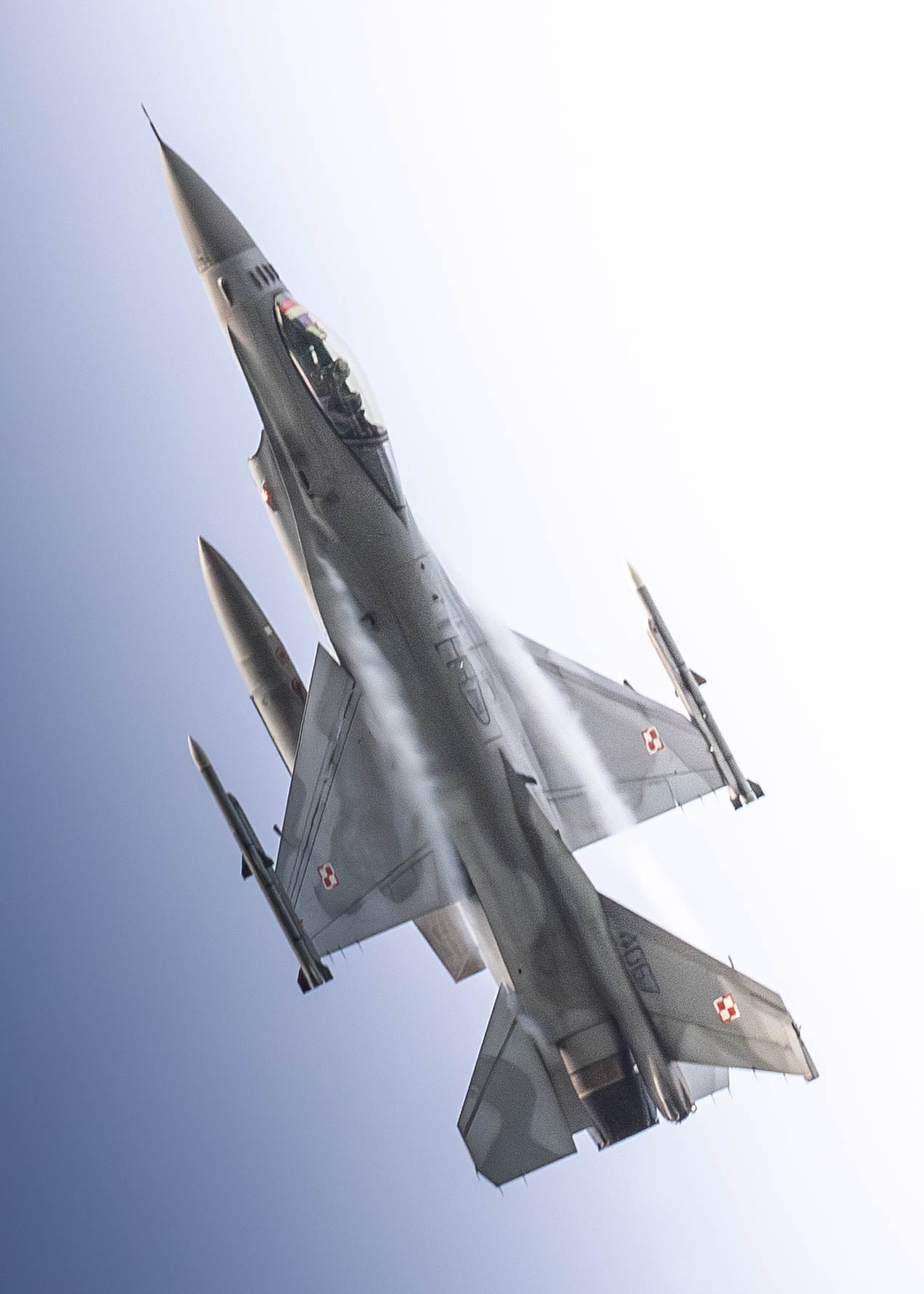 F35_Lask (8)