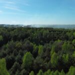Pożar_Hutki11