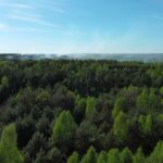 Pożar_Hutki9