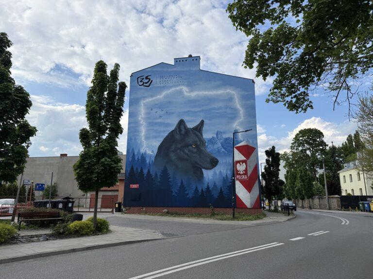 image00008