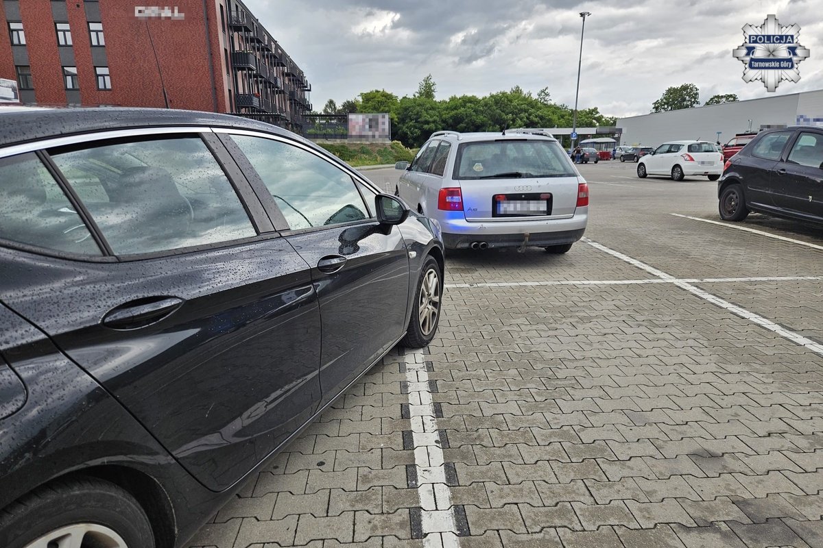 Dwaj złodzieje w rękach policjantów