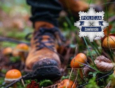 Bezpieczna wyprawa na grzyby
