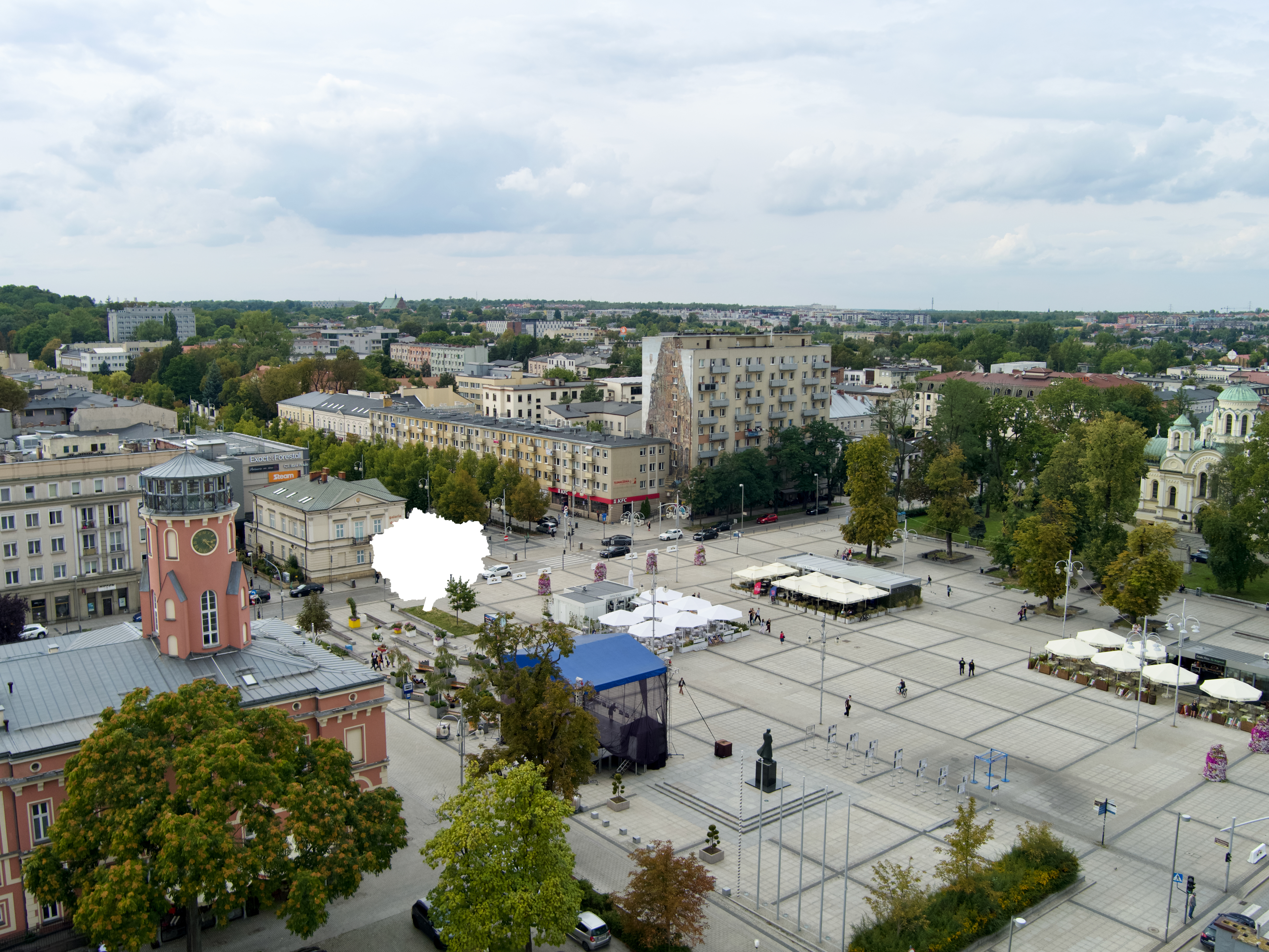 Klon zniknął z placu Biegańskiego. Co dalej z drzewami przy ratuszu?