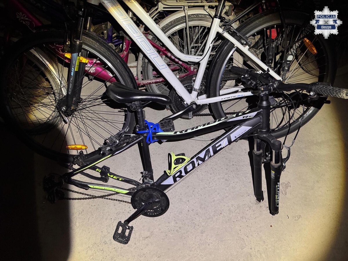 41-962533