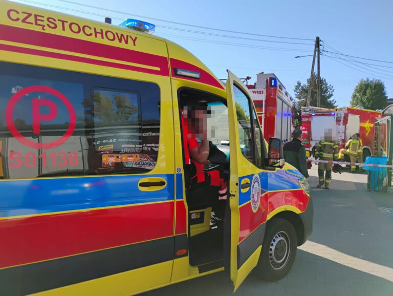 biedronka-2